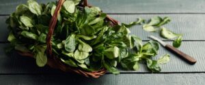 Feldsalat ist saisonal im März